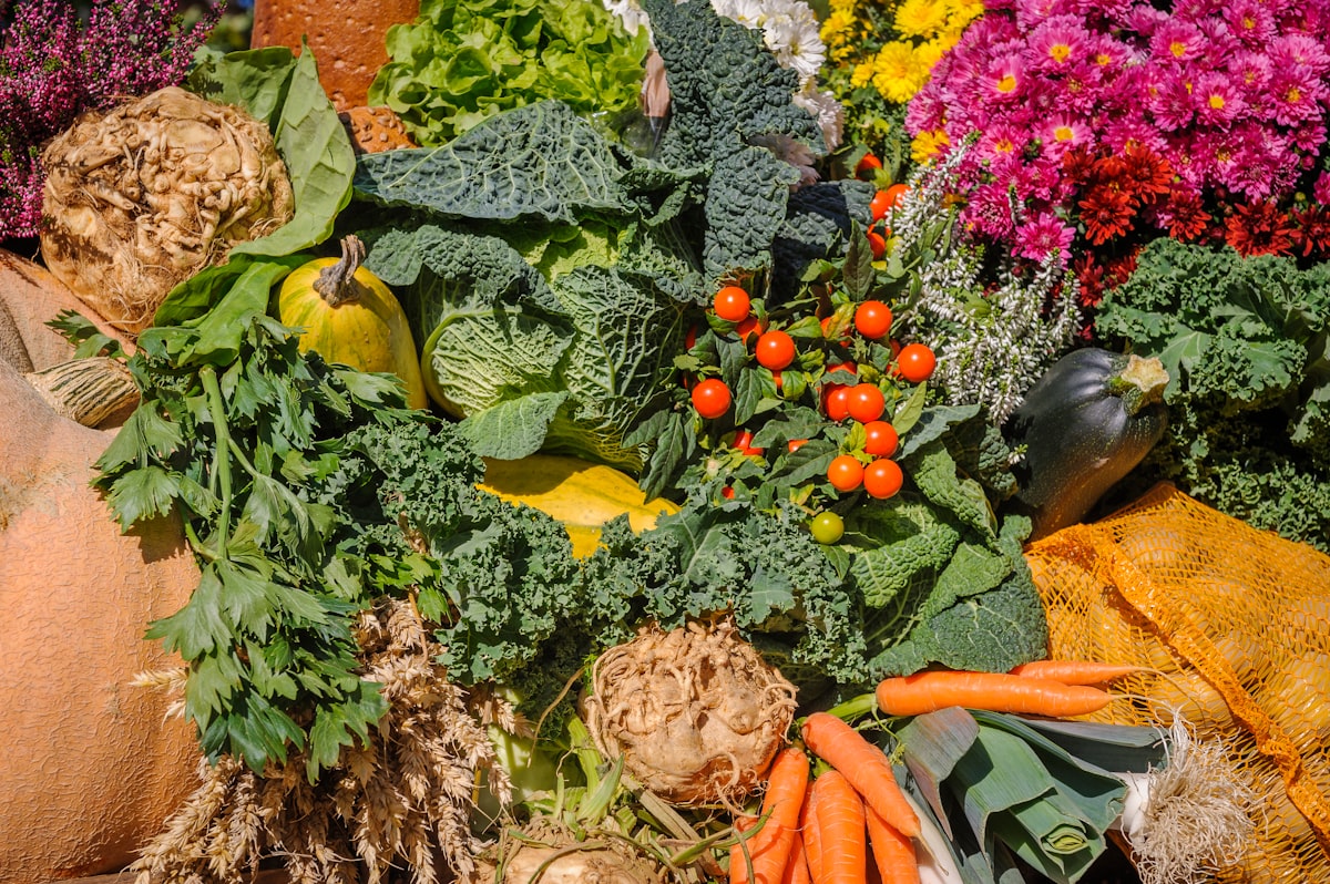 Superfoods including garlic, ginger, turmeric, and honey